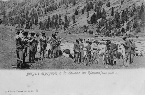 Scènes pastorales en Aure | Vallées d'Aure & Louron - Pyrénées | Scoop.it