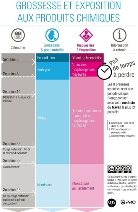 Grossesse et exposition aux produits chimiques | Prévention du risque chimique | Scoop.it