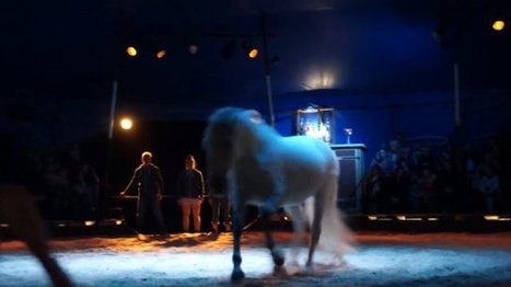 Strasbourg : spectacle équestre aux Deux-Rives - France 3 Alsace | Salon du Cheval | Scoop.it