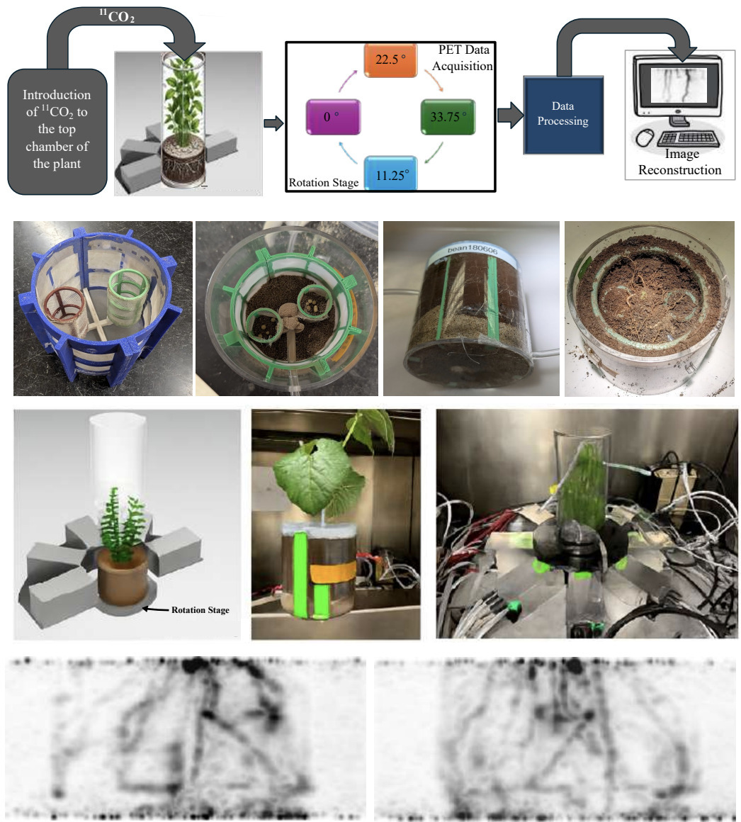 Rhizo-PET: A Dedicated PET System for 4D Imagin...
