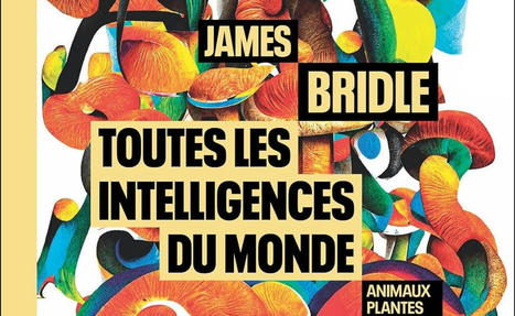 James Bridle : Toutes les intelligences du monde. Animaux, plantes, machines | EntomoScience | Scoop.it
