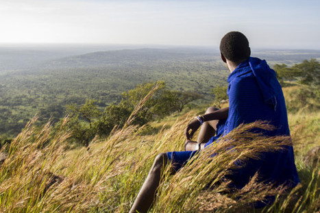 Climate change joins lions and livestock in an unlikely partnership | Climate Change & DRR in East Africa | Scoop.it