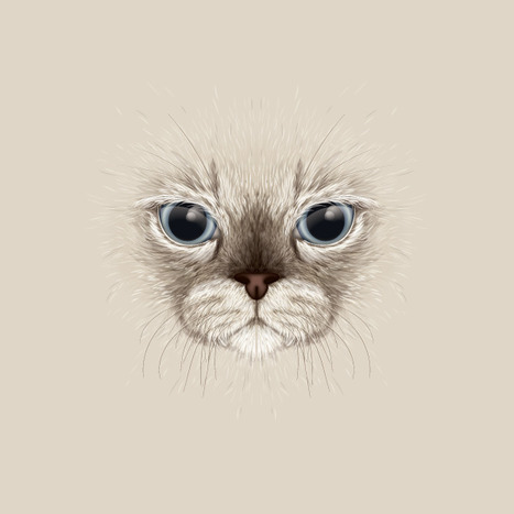 Create a Large Face, Cat Illustration from Stock in Adobe Illustrator - Tuts+ Design & Illustration Tutorial | Drawing and Painting Tutorials | Scoop.it