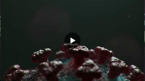 #mfeducation | McCullough Foundation | 11 comments | Hésitations Vaccinales: Observatoire HESIVAXs | Scoop.it
