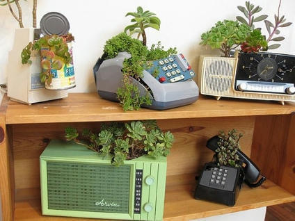 Retro Objects Into Succulent Planters | 1001 Gardens ideas ! | Scoop.it