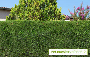 Viveros y Jardinería online - Planfor | Con lápiz y teclas | Scoop.it