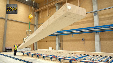 Cómo se fabrica la madera de contrachapado en una megafactoría | tecno4 | Scoop.it