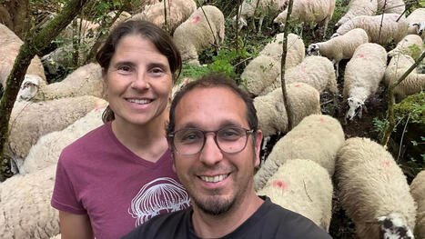 &lsquo;An underused tool&rsquo;: How regenerative farmers are shielding SPANISH land from WILDFIRES | CIHEAM Press Review | Scoop.it