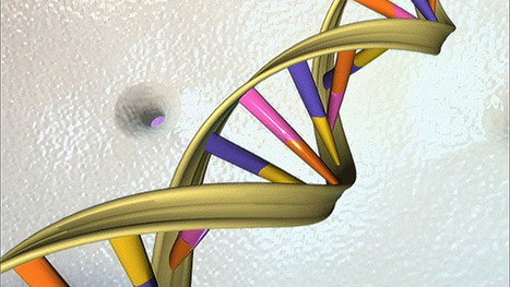 Scientists discover secret code hidden within human DNA | 21st Century Innovative Technologies and Developments as also discoveries, curiosity ( insolite)... | Scoop.it