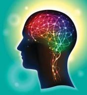 Neuroscience Drives Universal Design Instruction | Linguistics & Language Neurology | Scoop.it