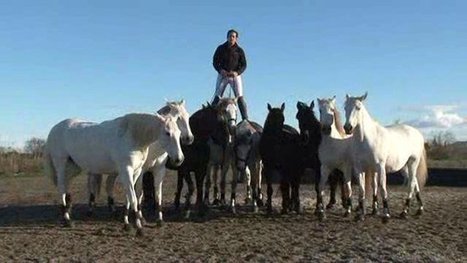 31e édition de Cheval Passion : Lorenzo répète en Camargue son spectacle - France 3 Provence-Alpes | Salon du Cheval | Scoop.it