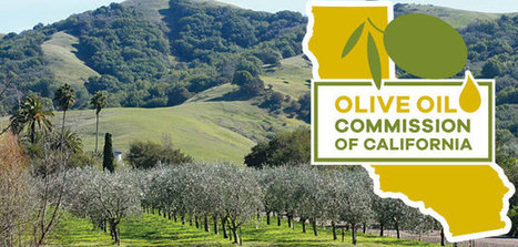 La Comisión del Aceite de Oliva de California, autorizada para continuar con su actividad cinco años más | OLIVE NEWS | Scoop.it
