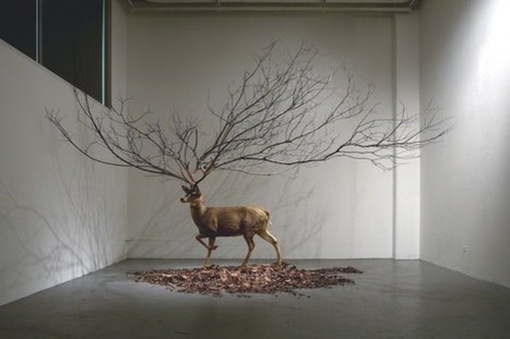 Myeongbeom Kim: "Deer taxidermy" | Art Installations, Sculpture, Contemporary Art | Scoop.it