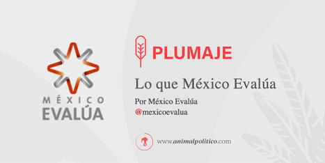 Estado de la Política de Mejora Regulatoria en México: El ejemplo de la imposición de precios máximos al Gas Licuado del Petróleo, una simulación de "mejora regulatoria". | Evaluación de Políticas Públicas - Actualidad y noticias | Scoop.it