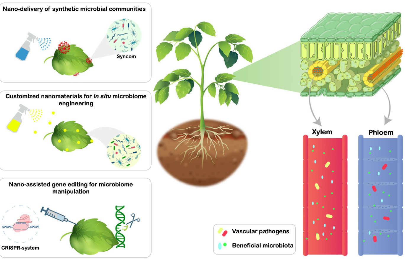 Nanobotic microbiomes against emerging vascular...