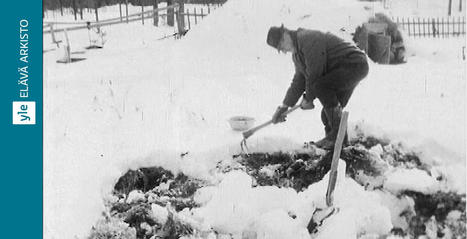 Talvi yllätti viljelijät 1968 | Elävä arkisto | yle.fi | 1Uutiset - Lukemisen tähden | Scoop.it
