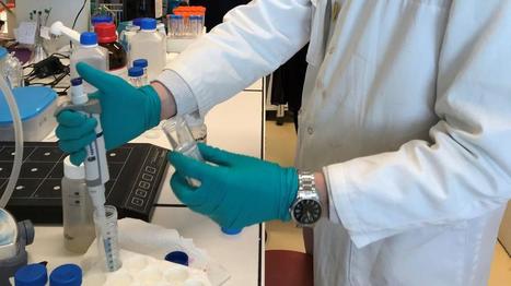 Les chimistes de l’université de Reims œuvrent contre les accidents cardiovasculaires | Le fil d'actualités de l'URCA | Scoop.it