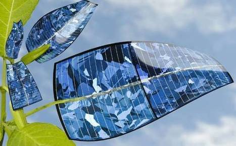 Bionic Leaf Converts Sunlight and Water into Fuel | Future  Technology | Scoop.it