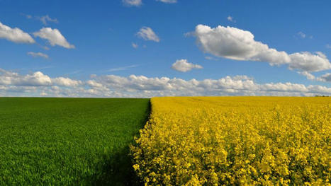 Comment r&eacute;ussir la transition agro&eacute;cologique&nbsp;? &ndash; EURACTIV.fr | TRANSITION AGROECOLOGIQUE : PRATIQUES ET POLITIQUES AGRICOLES | Scoop.it