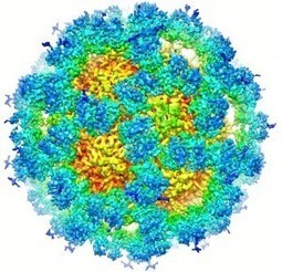 The Donald Danforth Plant Science Center | Virology News | Scoop.it
