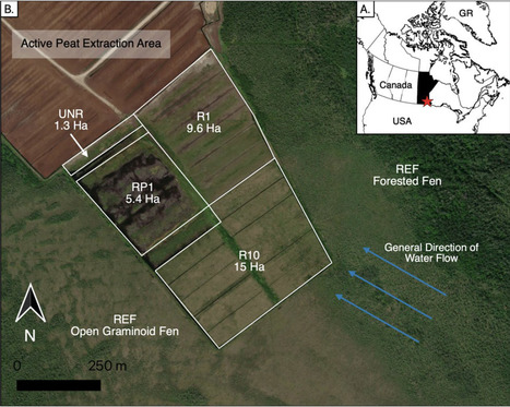 Original Paper in Sci Rep &bull; Rochefort Lab 2023 &bull; Rewetting increases vegetation cover and net growing season carbon uptake under fen conditions after peat-extraction in Manitoba, Canada | Originals | Scoop.it