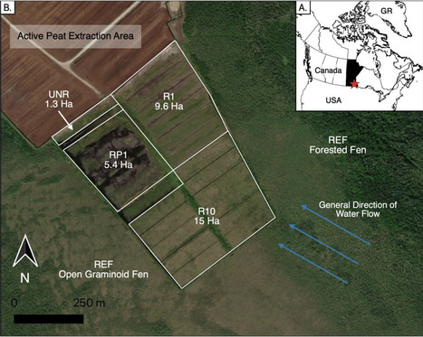 Original Paper in Sci Rep • Rochefort Lab 2023 • Rewetting increases vegetation cover and net growing season carbon uptake under fen conditions after peat-extraction in Manitoba, Canada | Originals | Scoop.it