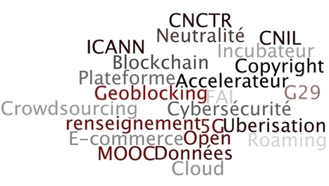 50 mots &agrave; conna&icirc;tre sur le num&eacute;rique en Europe | UseNum - Europe | Scoop.it