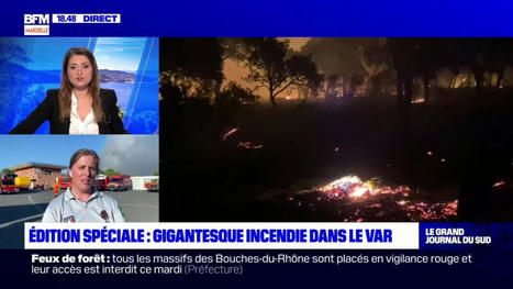Incendie dans le Var : une catastrophe pour la biodiversité et l'écologie du département | Biodiversité | Scoop.it