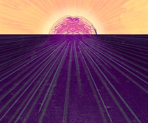 Distant Brains: Ways for People to Communicate Using Only Their Minds. But at What cost? | digisapiens v.1.0 | Scoop.it