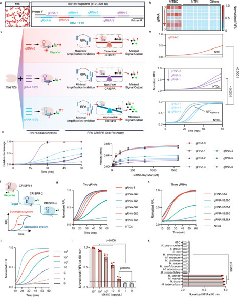 Sensitive pathogen DNA detection by a multi-gui...