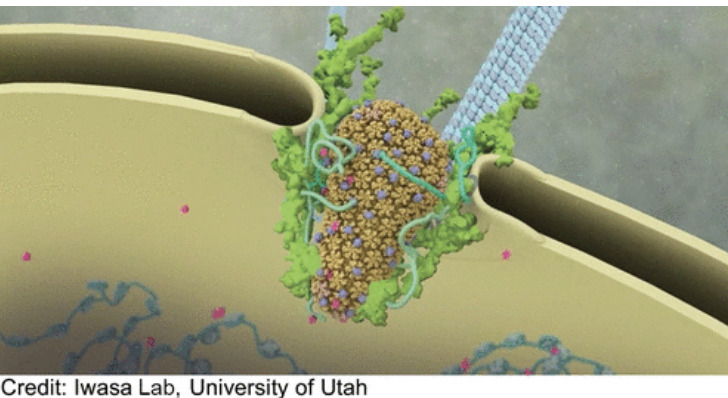 The Animation Lab Brings Molecules to Life | ac...