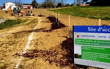Pouillon. Opération plantation du Parc des arènes | Landes | Scoop.it