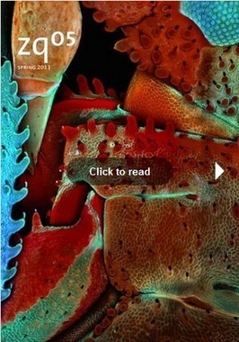 Biomimétisme : la revue | Variétés entomologiques | Scoop.it