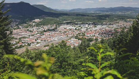 Législatives 2024 : le RN peut-il l'emporter dans la circonscription de Saint-Dié-des-Vosges ? - France Bleu | veille territoriale | Scoop.it