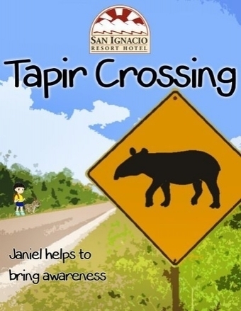 Tapir Crossing - Janiel Helps to Bring Awareness | Cayo Scoop!  The Ecology of Cayo Culture | Scoop.it