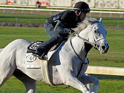 Hansen Breezes for Blue Grass | BloodHorse.com | Racing News | Scoop.it