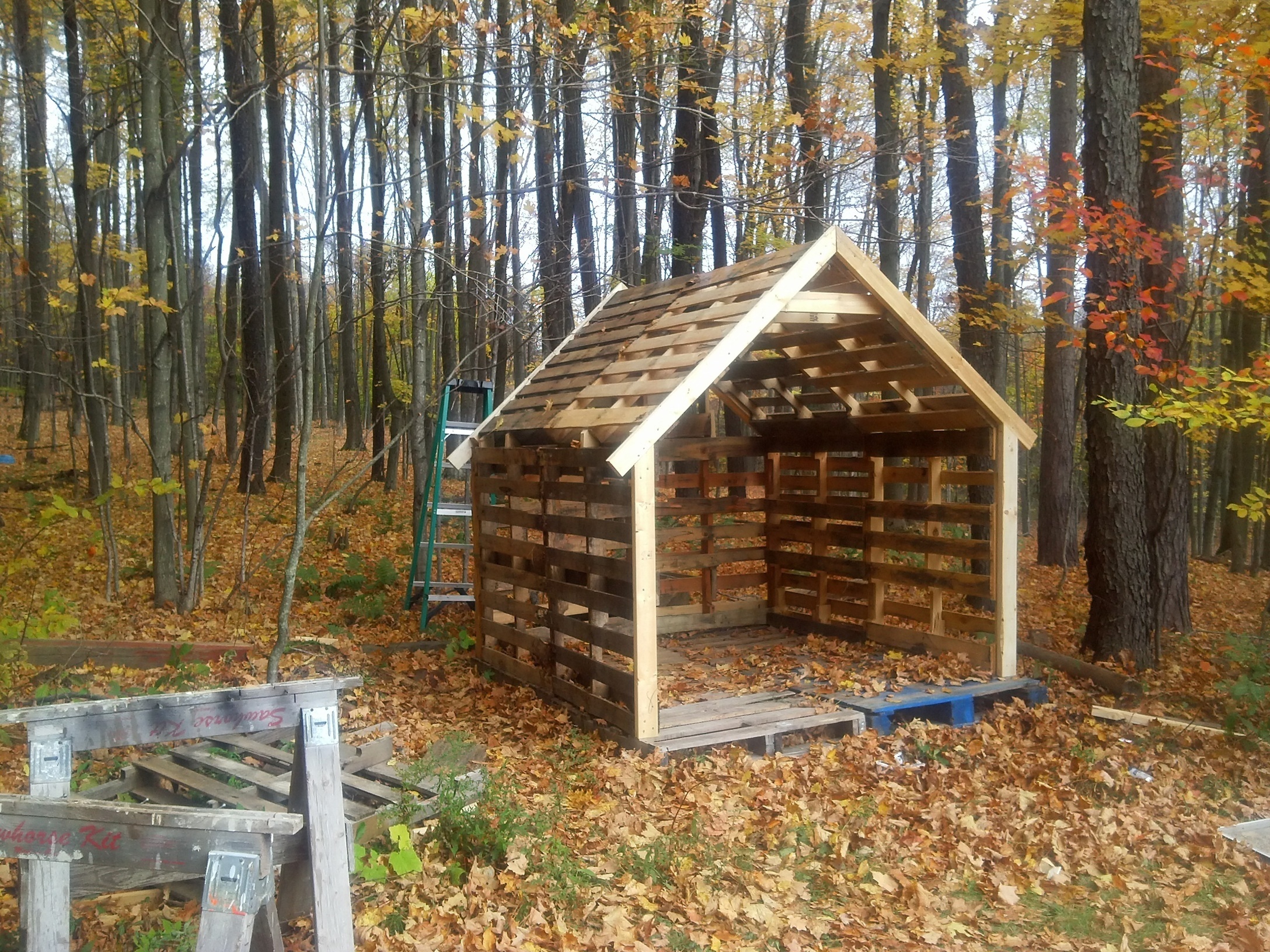 Pallet shed 1001 Pallets ideas ! Scoop.it