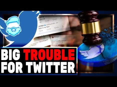 Twitter Just Lost Immunity | anonymous activist | Scoop.it