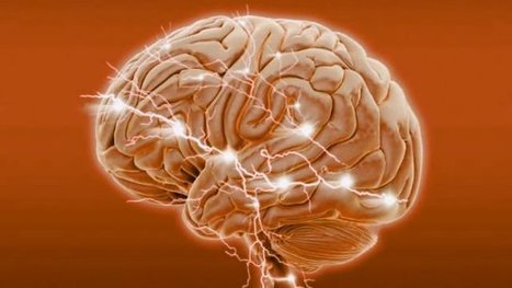 Esta es la relación entre la memoria semántica, la demencia y los trastornos alimentarios | Educación, TIC y ecología | Scoop.it