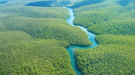 Google Street View nos ense&ntilde;ar&aacute; el Amazonas | Recull diari | Scoop.it