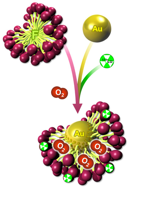 Des micelles fluor&eacute;es pour le transport de 177Lu, d&rsquo;or et d&rsquo;oxyg&egrave;ne au service d&rsquo;une radioth&eacute;rapie interne potentialis&eacute;e | Life Sciences Universit&eacute; Paris-Saclay | Scoop.it