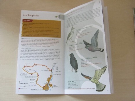 Diez rutas ornitológicas para descubrir Ribagorza y Sobrarbe | Vallées d'Aure & Louron - Pyrénées | Scoop.it