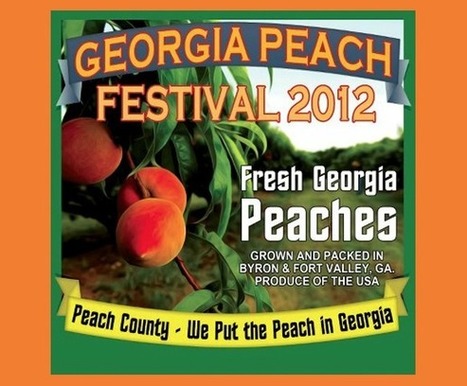 Peach county ford ga #3