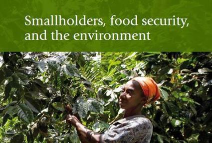 Investing in small-scale farmers can help lift over 1 billion people out of poverty | Climate Change & DRR in East Africa | Scoop.it