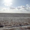 Preserving biodiversity 'protects drylands' - SciDev.Net | BIODIVERSITY IS LIFE  &ndash; | Scoop.it