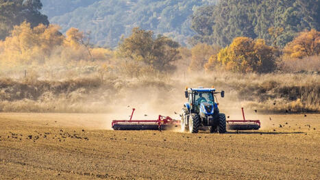 2026 is the year with the highest volume of payments to farmers (PORTUGAL) | MED-Amin network | Scoop.it