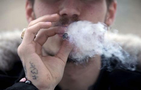 Âge légal pour consommer du cannabis: la consultation tourne court | Revue de presse - Fédération des cégeps | Scoop.it