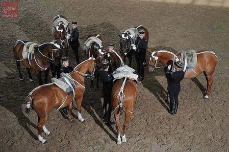 Saumur. Le Cadre Noir vote la gr&egrave;ve | Salon du Cheval | Scoop.it