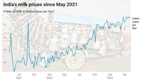 Les prix du lait dans la première puissance laitière mondiale, l'Inde, ont grimpé de 15 % | Economie de l'Elevage | Scoop.it