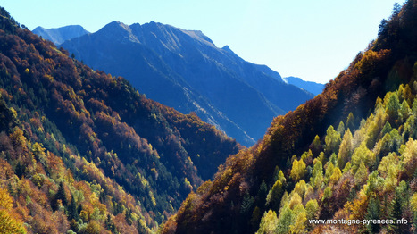 Aragnouet : allier la mobilisation des bois et la préservation de la biodiversité | Vallées d'Aure & Louron - Pyrénées | Scoop.it